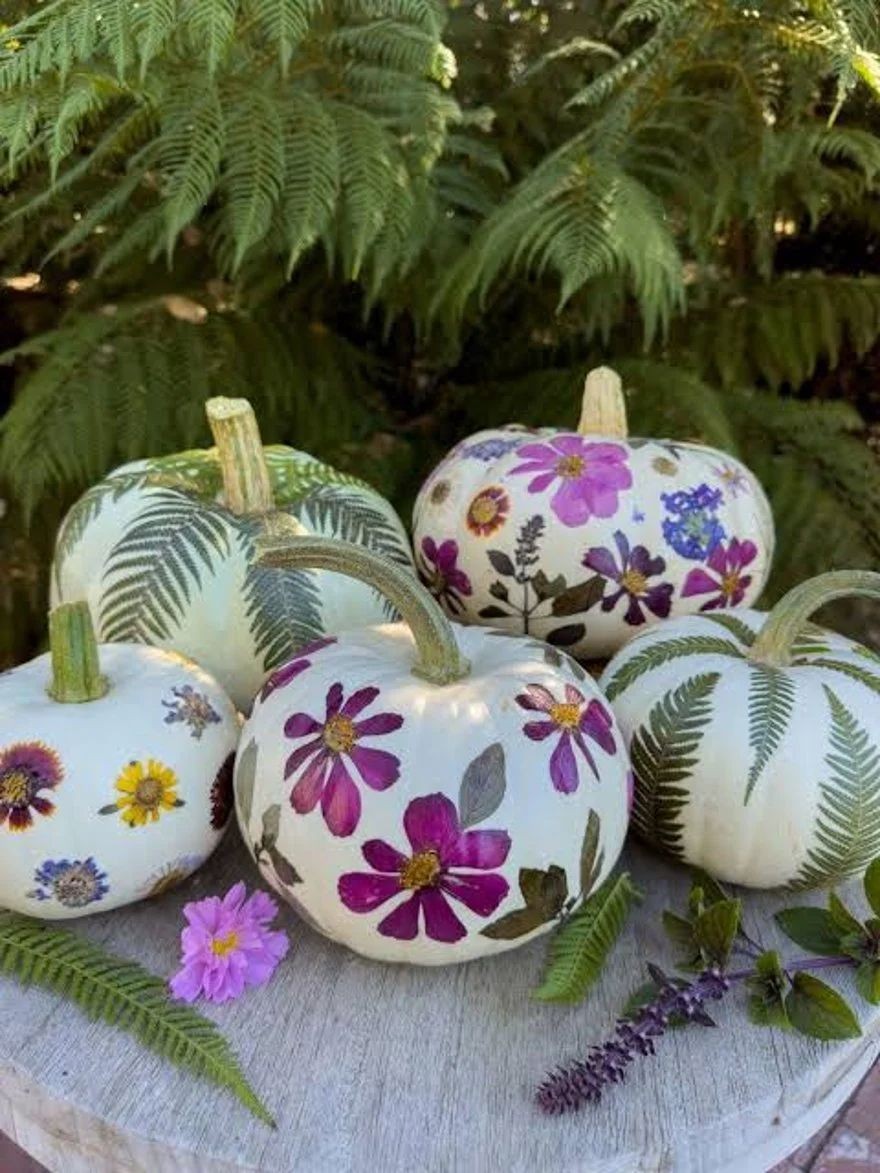 White Floral Pressed pumpkins. Nature inspired crafts made with dried flowers, leaves and natural material.